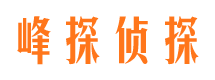 成武出轨调查